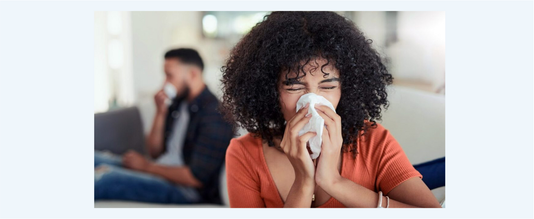 Coping With Dust Allergies