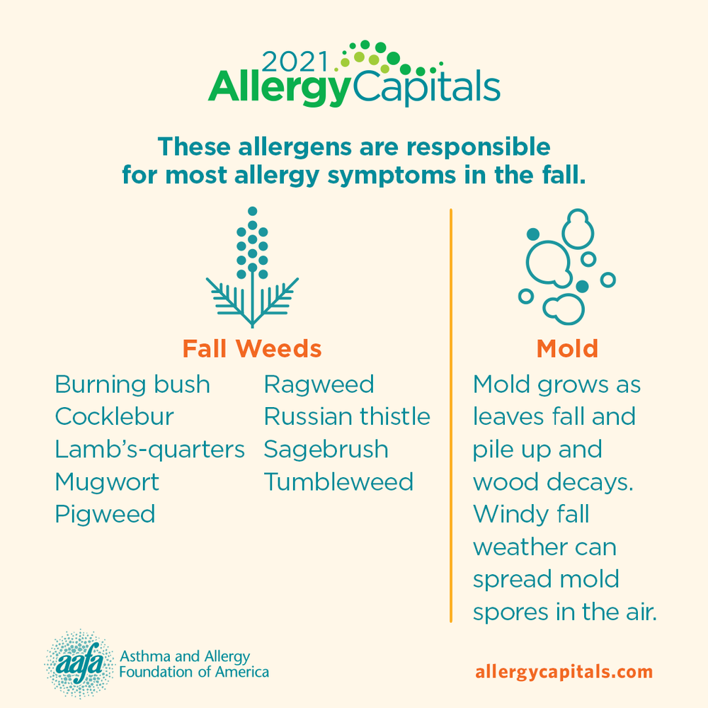 Quality of life against seasonal vs perennial allergens: ESPRINT-15  modified in the pediatric population